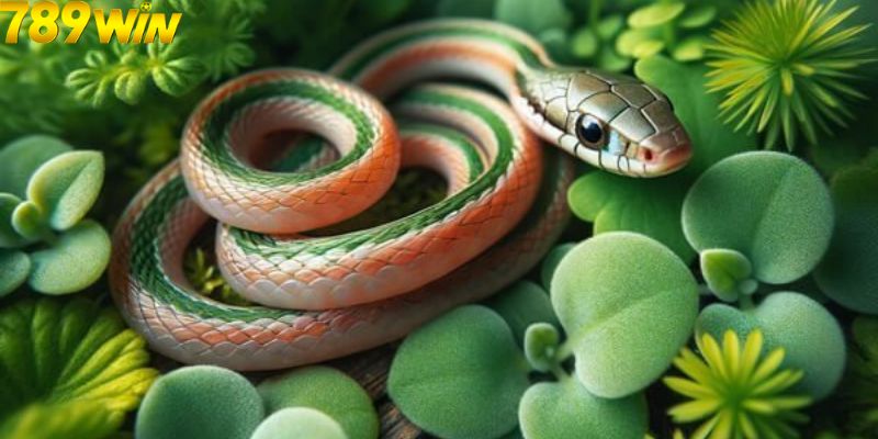 Nếu nằm mơ thấy rắn đuổi thì nên đánh con gì?